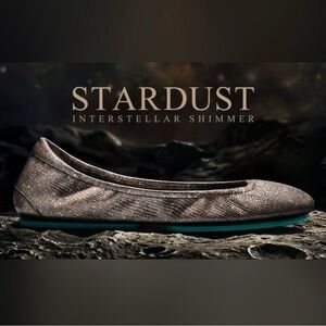 Tieks Stardust Interstellar Shimmer Flats - Silver Black Friday Limited Edition